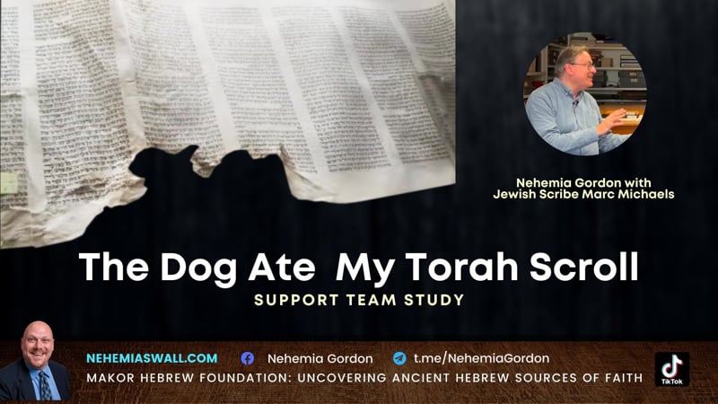 Support Team Study – The Dog Ate My Torah Scroll 