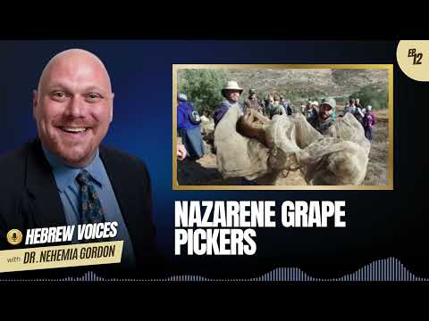 Hebrew Voices #12 – Nazarene Grape Pickers