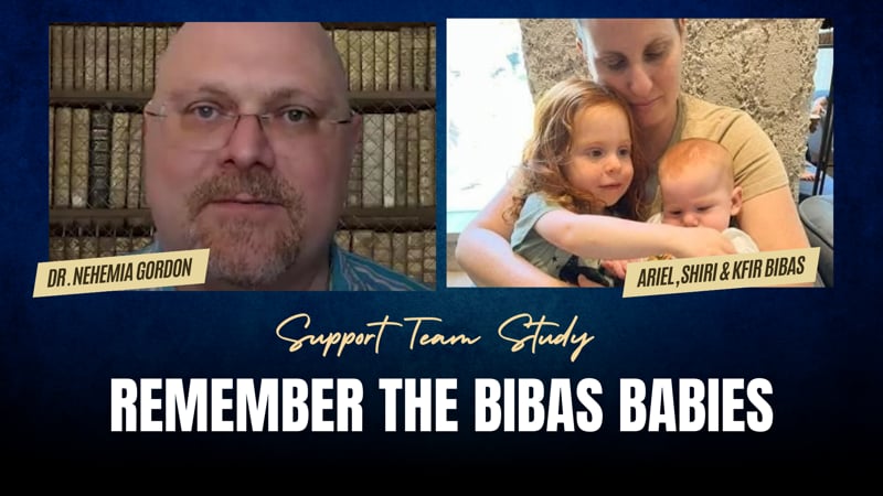 Support Team Study – Remember the Bibas Babies