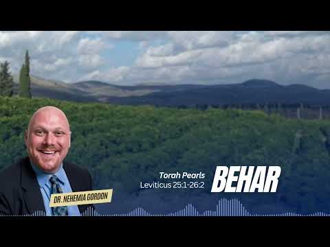 Torah Pearls #32 – Behar (Leviticus 25:1-26:2)