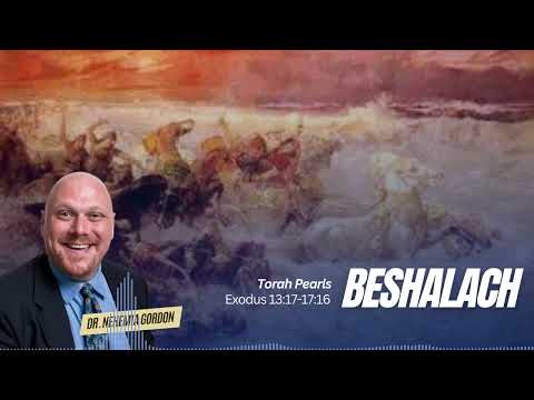 Torah Pearls #16 – Beshalach (Exodus 13:17-17:16)