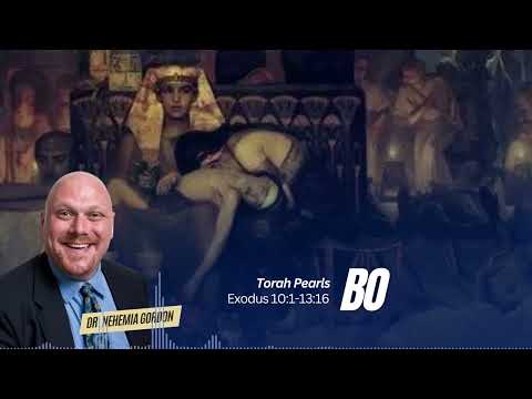 Torah Pearls #15 – Bo (Exodus 10:1-13:16)