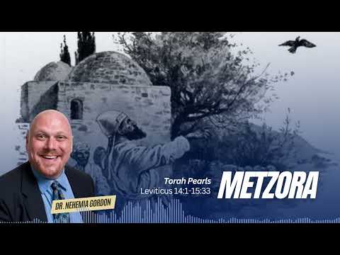 Torah Pearls #28 – Metzora (Leviticus 14:1-15:33)
