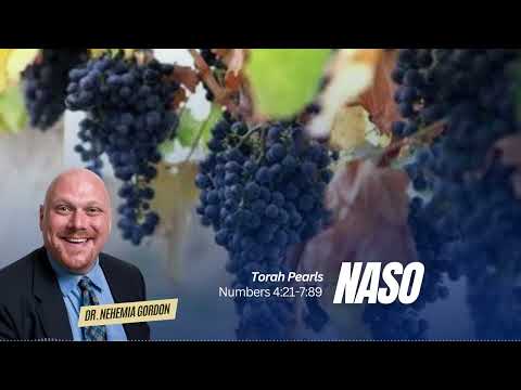 Torah Pearls #35 – Naso (Numbers 4:21-7:89)