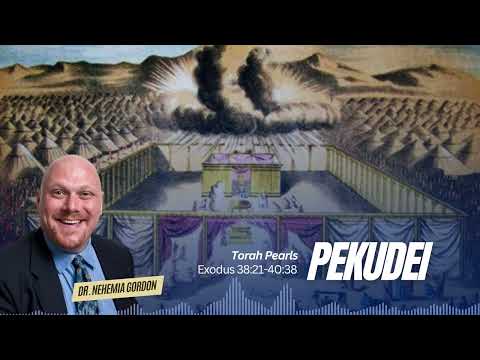 Torah Pearls #23 – Pekudei (Exodus 38:21-40:38)