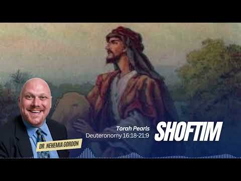 Torah Pearls #48 – Shoftim (Deuteronomy 16:18-21:9)
