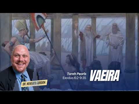Torah Pearls #14 – Vaeira (Exodus 6:2-9:35)